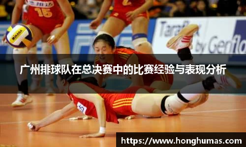 球速体育官方网站